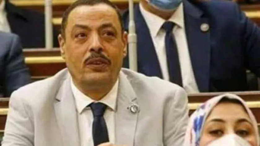 النائب أشرف أمين