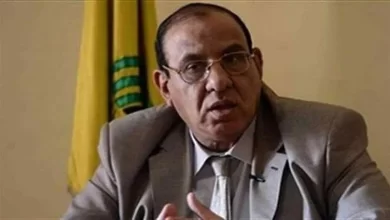 الدكتور طلعت عبدالقوي عضو مجلس أمناء الحوار الوطني