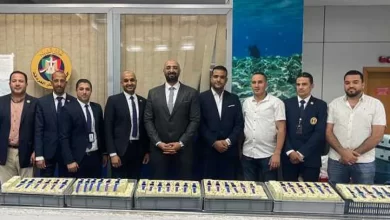 جانب من المضبوطات