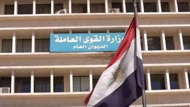 وزارة القوى العاملة