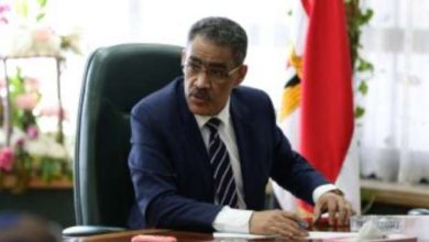 الكاتب الصحفي ضياء رشوان