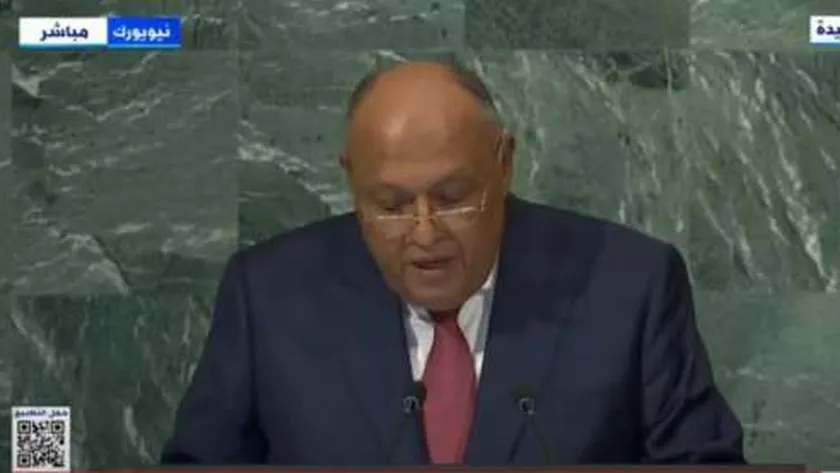 السفير سامح شكري