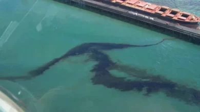 "300 ألف جنيه" غرامة لأصحاب السفن حال عدم الابلاغ عن حادث تسريب زيت