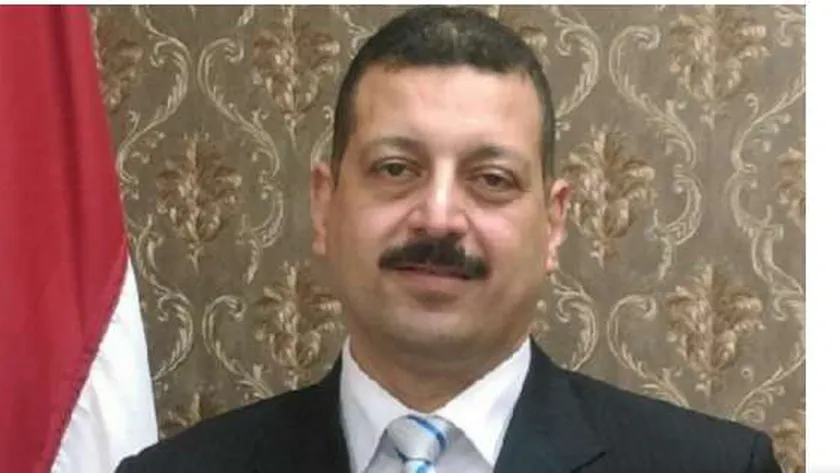 الدكتور أيمن حمزة - المتحدث باسم وزارة الكهرباء والطاقة المتجددة