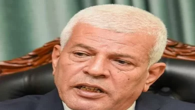 المهندس سيد خليفة، نقيب الزراعيين