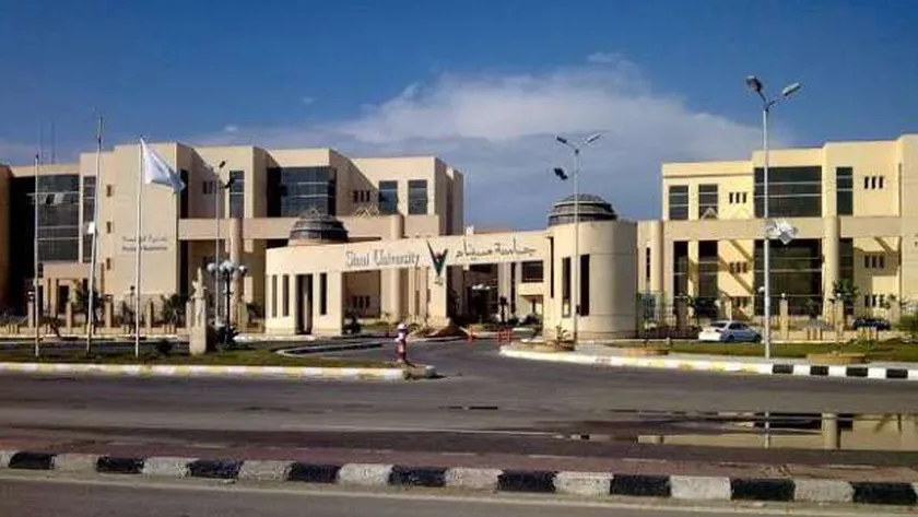 جامعة سيناء