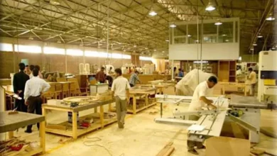 مدينة دمياط للأثاث دعمت أصحاب الورش