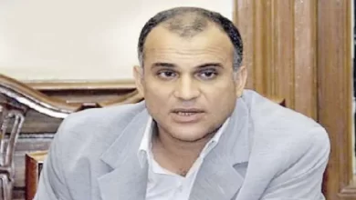 عمرو هاشم ربيع