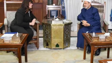 السفيرة سها جندي.. وزيرة الدولة للهجرة وشئون المصريين بالخارج