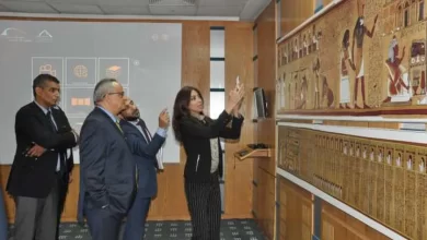 الدكتور أحمد زايد في الجولة