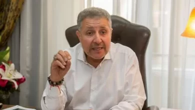 نجاد البرعي، عضو مجلس أمناء الحوار الوطني