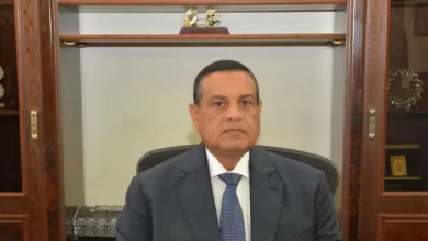 وزير التنمية المحلية