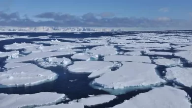 ذوبان الجليد