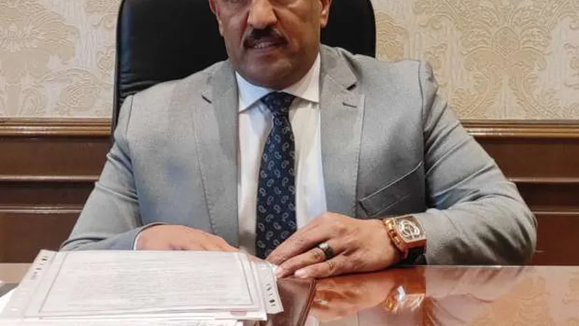 النائب أحمد الحديدي، عضو مجلس النواب