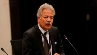 عصام شيحة، رئيس المنظمة المصرية لحقوق الإنسان