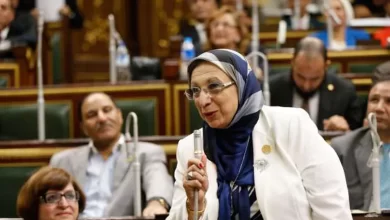 الدكتورة إيناس عبد الحليم عضو مجلس النواب