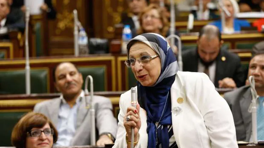 الدكتورة إيناس عبد الحليم عضو مجلس النواب