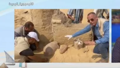 قوالب الجبن الحالوم