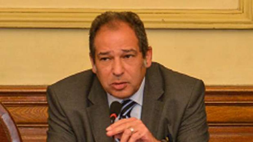 نائب رئيس حزب مستقبل وطن