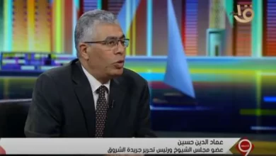 الكاتب الصحفي عماد الدين حسين