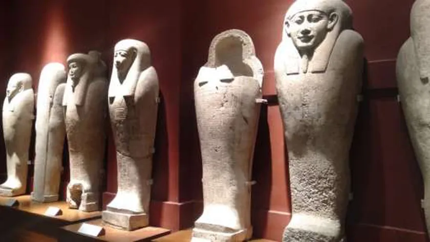 تطوير قاعة 49