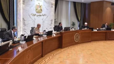 قرارات الوزراء.. إنشاء أول مجمع صناعي للأعلاف في أفريقيا والشرق الأوسط