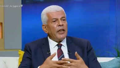 الدكتور سيد خليفة - نقيب الزراعيين
