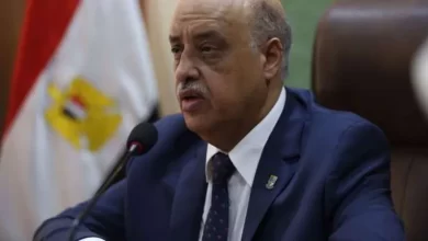 حسام الدين رزق