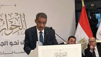 ضياء رشوان المنسق العام للحوار الوطني