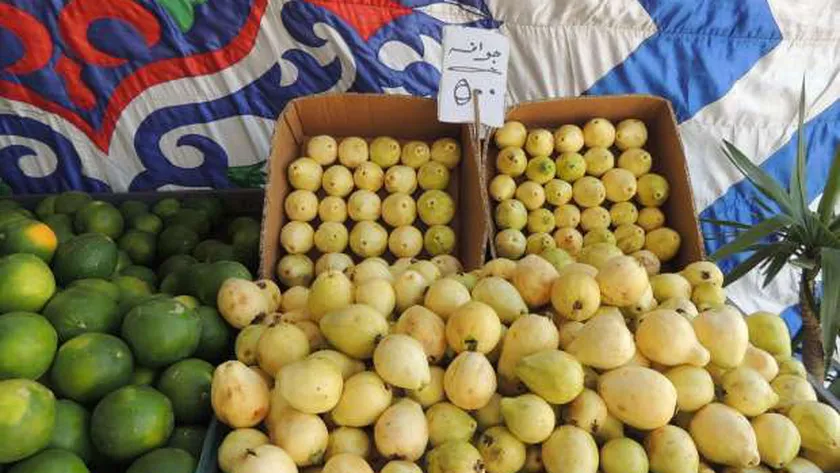 الحاصلات الزراعية المصرية