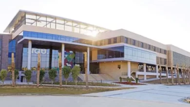 جامعة نيو جيزة