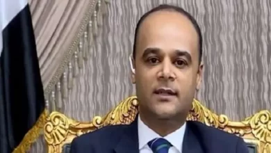 السفير نادر سعد المتحدث الرسمي باسم مجلس الوزراء