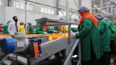 مصانع الحاصلات الزراعية