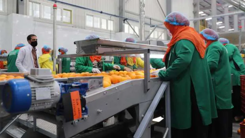 مصانع الحاصلات الزراعية