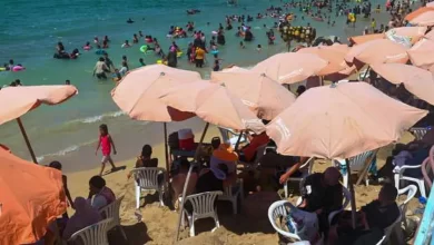 شواطئ الإسكندرية