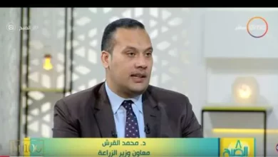 الدكتور محمد القرش المتحدث باسم وزارة الزراعة واستصلاح الأراضي