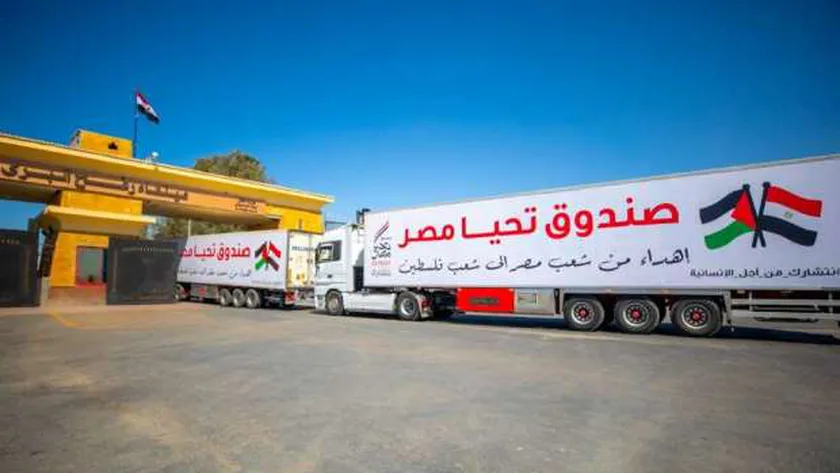 المساعدات المصرية لفلسطين