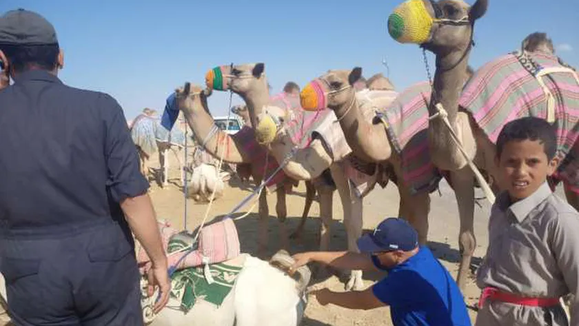 قافلة بيطرية مجانية