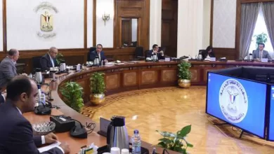 مجلس الوزراء