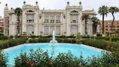 جامعة عين شمس