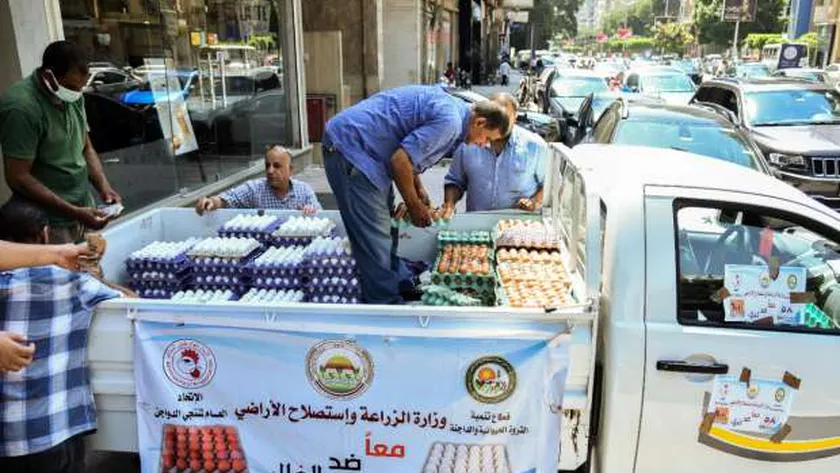 منافذ بيع البيض أمام وزارة الزراعة