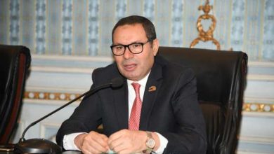 هشام الحصري - مقرر لجنة الزراعة والأمن الغذائي بالحوار الوطني