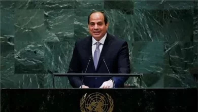 الرئيس عبدالفتاح السيسي