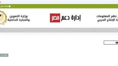 موقع دعم مصر - صورة أرشيفية