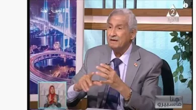 الدكتور مهندس ماهر عزيز - استشاري الطاقة والبيئة وتغير المناخ