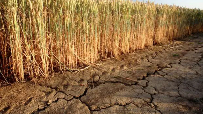 مشكلة التغيرات المناخية - تعبيرية