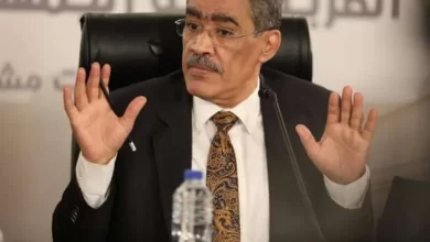 ضياء رشوان، المنسق العام للحوار الوطني