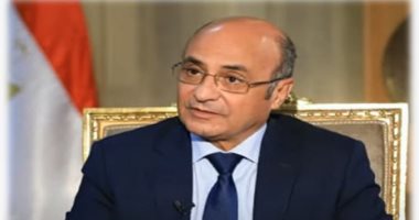 وزير العدل: الاحتشاد أمام اللجان يعكس وعى المصريين بالاستحقاق الديمقراطى