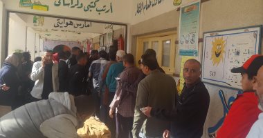 الجريدة الرسمية تنشر قرار دعوة المواطنين لانتخاب رئيس الجمهورية