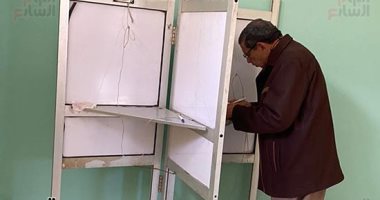 تكدس وزحام من الناخبين أمام لجنة المغتربين بالجمالية.. صور